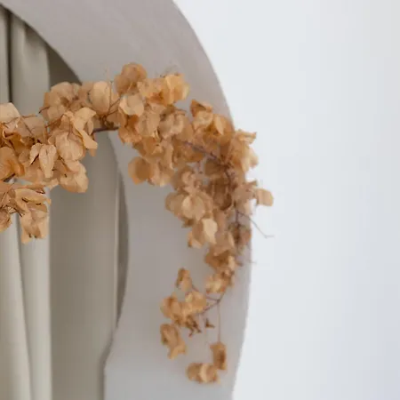 Pacifico Shared Pool Special Place 토레몰리노스